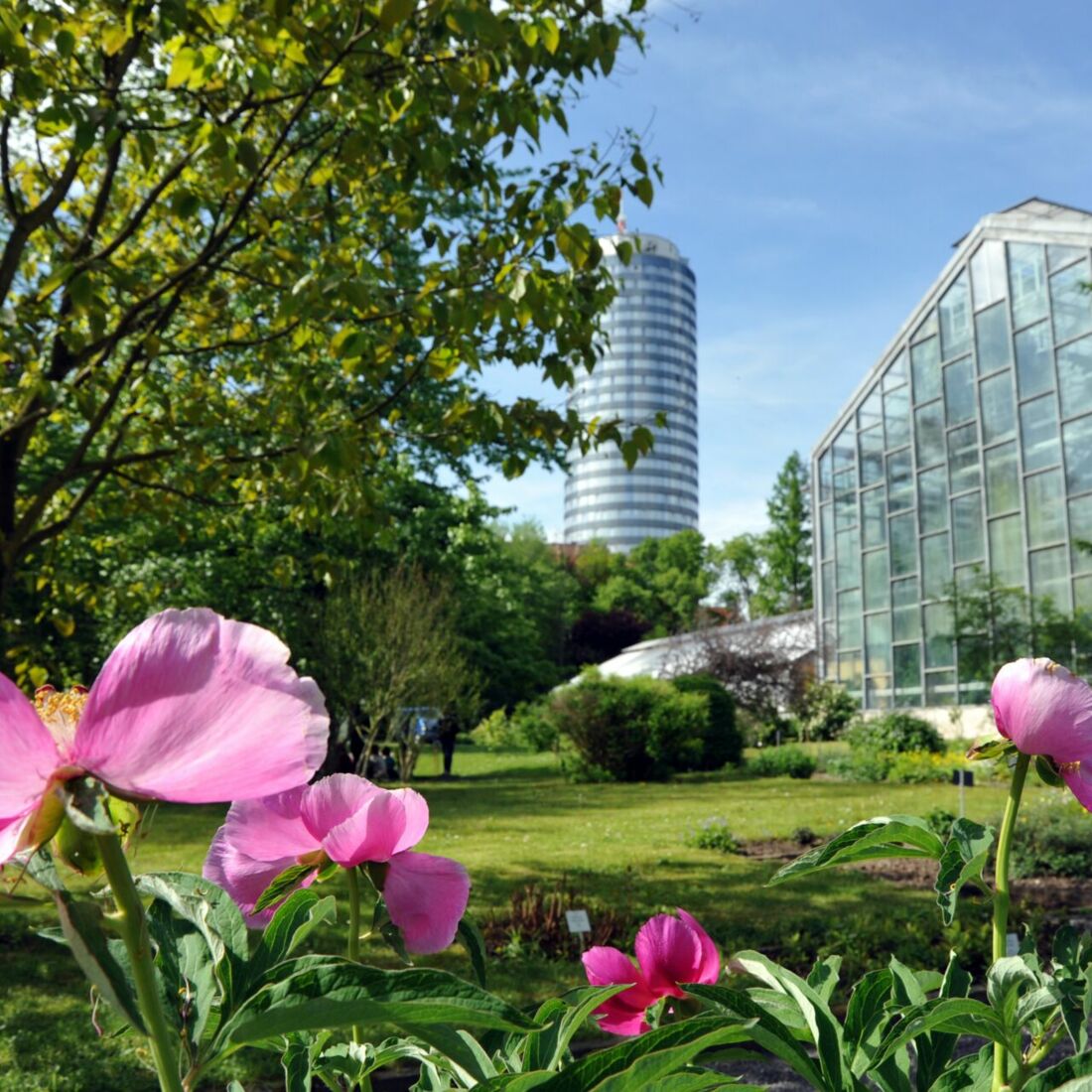 Die schönsten Parks und Gärten Gut mit Zug